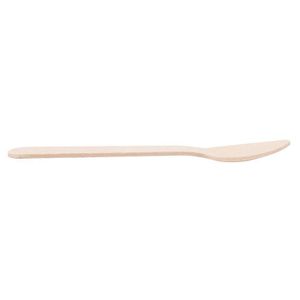 Colher Descartável E Biodegradável De Madeira, 9,5cm - 100 Un
