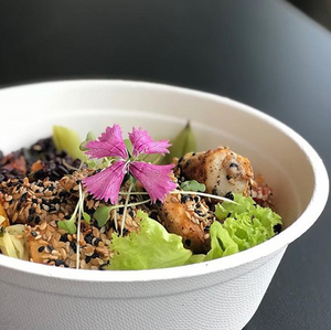 Bowl Descartável Biodegradável Em Bagaço De Cana, 500ml - 125 Unidades