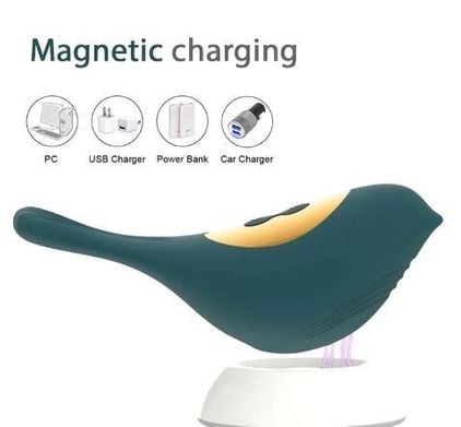 Vibrador Sugador Passarinho Luxo