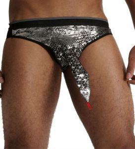 Cueca Cobra Pau Brasil 