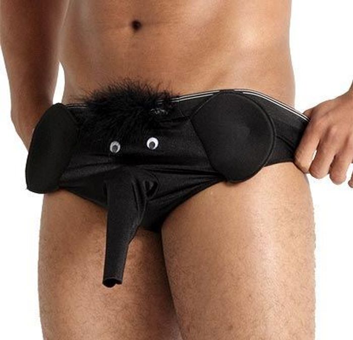 Cueca Elefantinho Pau Brasil