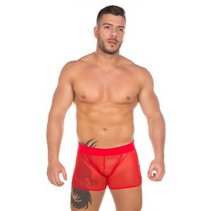 Cueca Tule Pimenta Sexy 