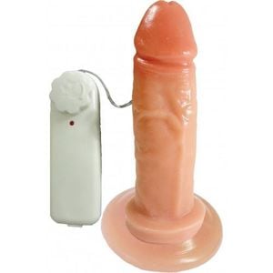 Prótese Com Vibrador E Ventosa 14,0 X 3,9cm Prazer E Cia