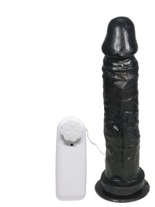 Prótese Vibrador 21,5 X 4,0cm Prazer E Cia