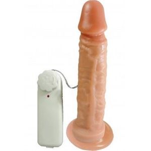 Prótese Vibrador Com Ventosa 19,5x4,0 Cm Prazer E Cia