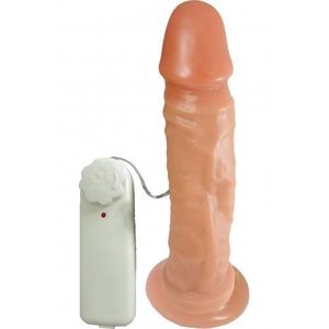 Prótese Vibrador Com Ventosa 20,0 X 4,5cm Prazer E Cia