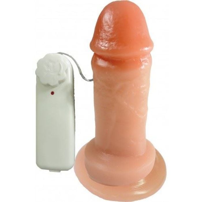Prótese Vibrador 12,0 X 3,8cm Prazer E Cia 