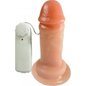 Prótese Vibrador 12,0 X 3,8cm Prazer E Cia 