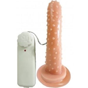 Prótese Vibrador Com Ventosa 14,5x3,2 Cm Prazer E Cia 