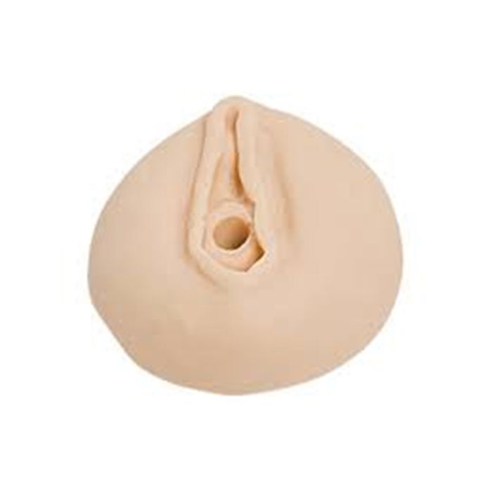 Porta caneta vagina