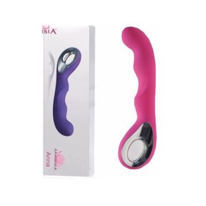 Vibrador de Luxo Recarregável com Detalhes em Metal (Ponto G)