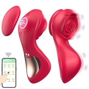 Vibrador de Calcinha - Paraty - À Longa Distância - APP
