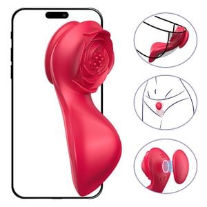 Vibrador de Calcinha - Paraty - À Longa Distância - APP