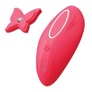 Vibrador de Calcinha - À Longa Distância - APP
