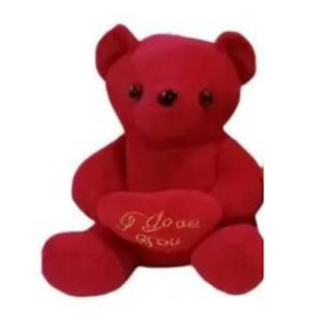 Urso de Pelúcia com Coração e Ventosa
