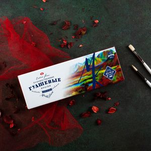 Kit Guache Profissional Nevskaya Palitra Master Class - 12 cores de 40 ml 1010