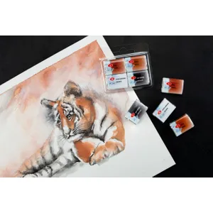 Kit 4 Tintas Aquarela White Nights em Pastilha Mix 8