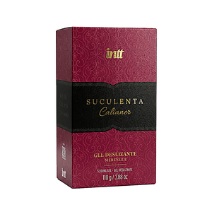 Suculenta Gel Deslizante com Aloe Vera e Pantenol by Calianer 110g Intt