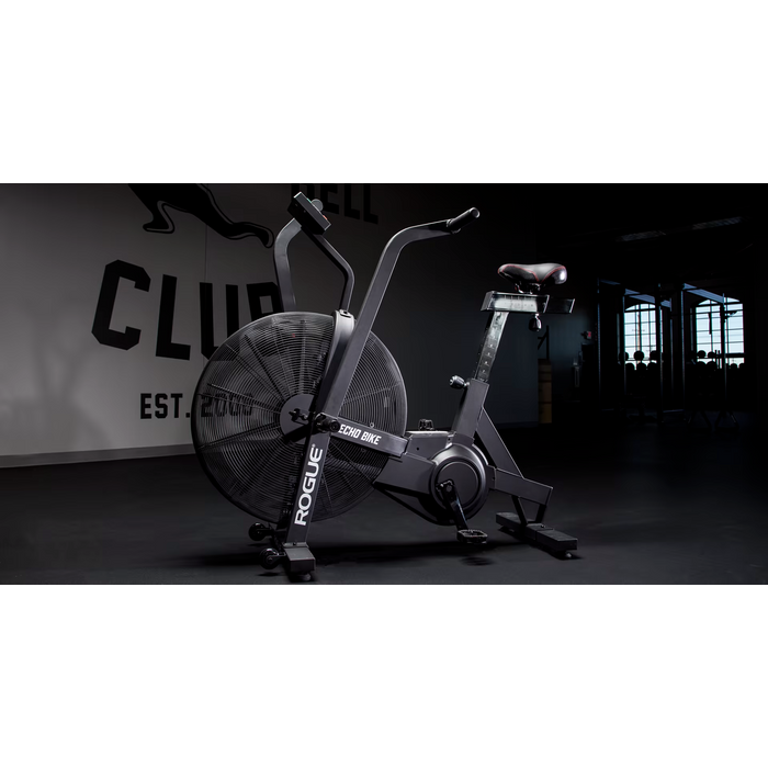 ROGUE ECHO BIKE