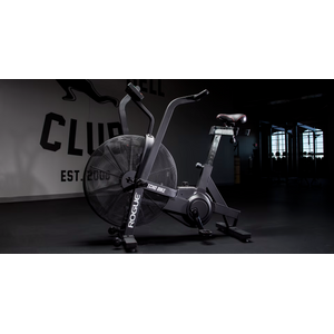 ROGUE ECHO BIKE